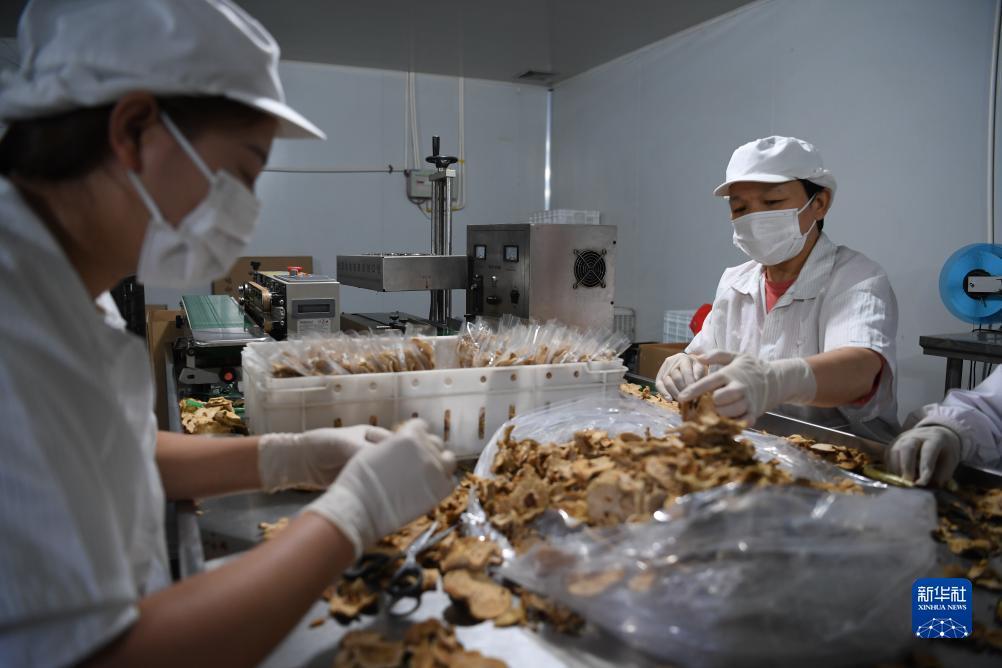 dafa娱乐黄金版官方免费